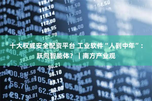 十大权威安全配资平台 工业软件“人到中年”：跃向智能体？｜南方产业观